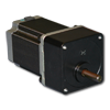 Stepper Motors with Spur Gearboxes - 23YSG